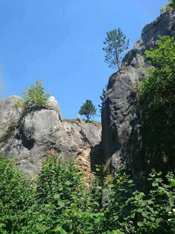 Patchou'S Cabane Villa Couvin Luaran gambar